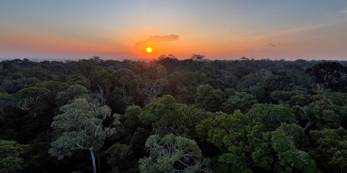 Instituto Clima e Sociedade lança edital para projetos que usam IA