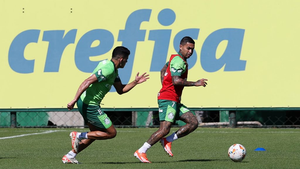 Foto: Cesar Greco/Palmeiras/by Canon