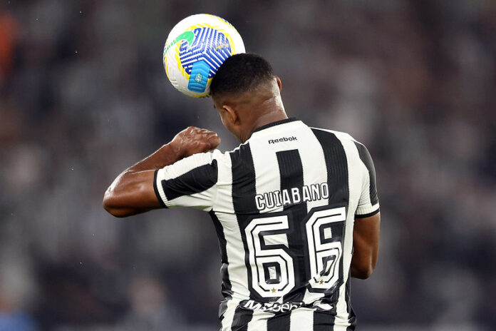 Imagem do avatar de Meu Botafogo