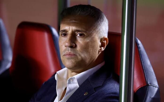 Crespo é o técnico do Tricolor em 2025. fOTO: Divulgação.