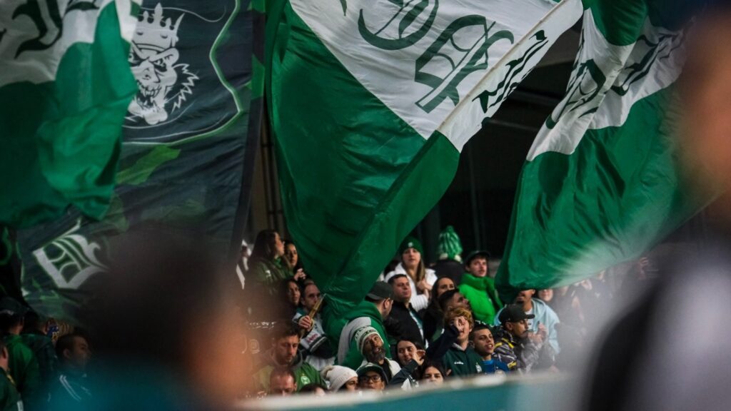 Coritiba tem torcida de volta (Foto: Gustavo Oliveira)