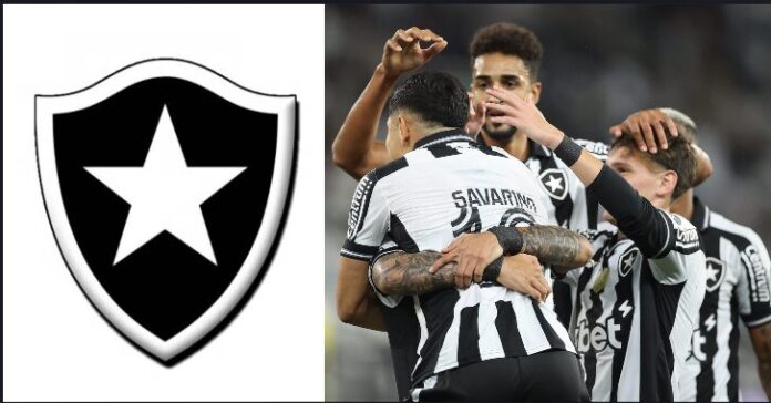 Imagem do avatar de Meu Botafogo