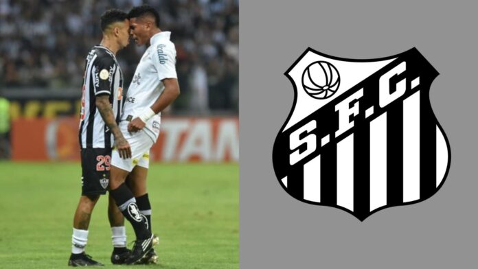 Imagem do avatar de Luis Gustavo Marine