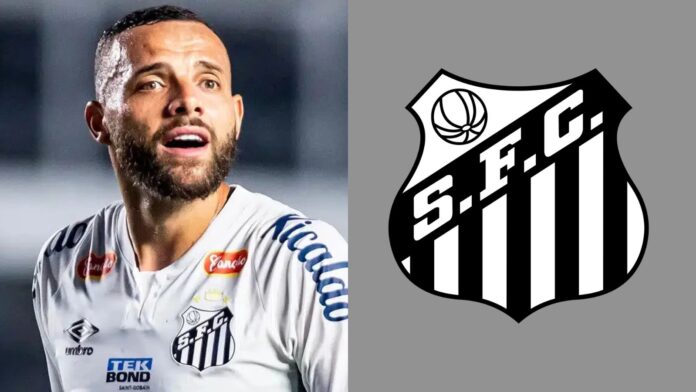 Imagem do avatar de Luis Gustavo Marine
