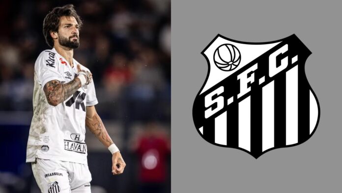 Imagem do avatar de Luis Gustavo Marine