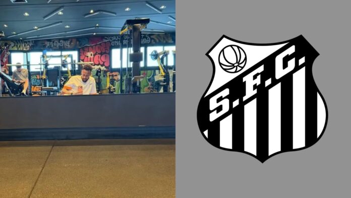 Imagem do avatar de Luis Gustavo Marine