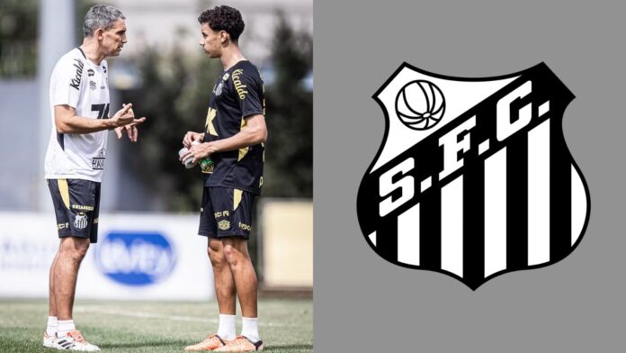 Imagem do avatar de Luis Gustavo Marine