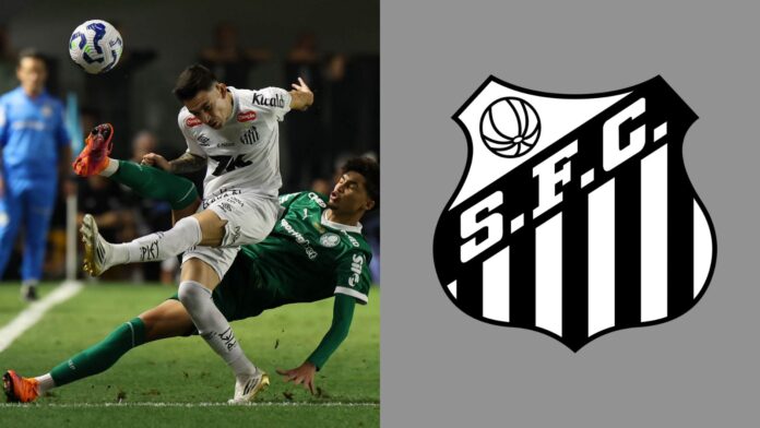 Imagem do avatar de Luis Gustavo Marine