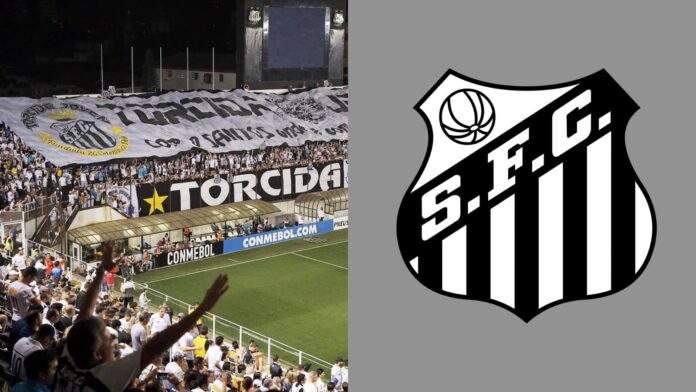 Imagem do avatar de Luis Gustavo Marine