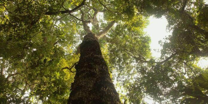 TV Brasil estreia nova temporada de 