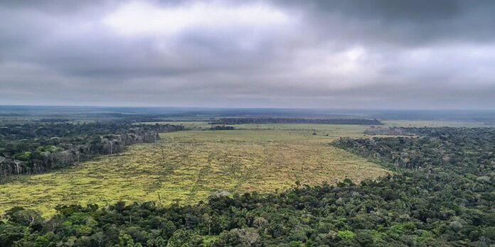 Sociedade civil vê retrocesso grave em queda de vetos de PL Ambiental