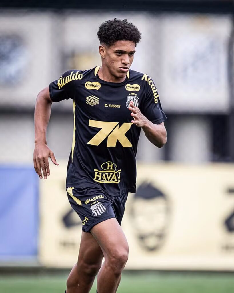 Foto: Raul Baretta/ Santos FC