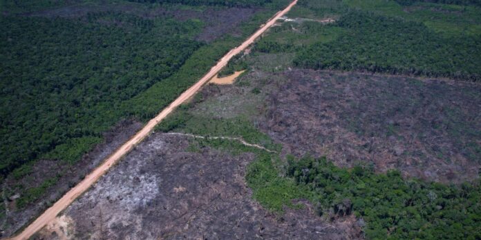 Alertas de desmatamento caem 35% na Amazônia e 6% no Cerrado