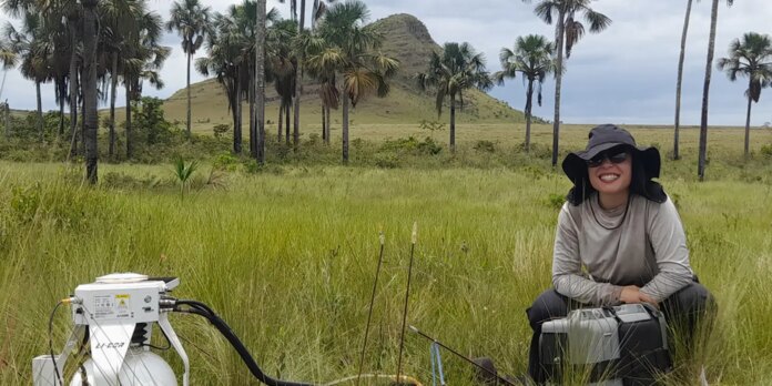 Estudo indica que Cerrado pode armazenar mais carbono que Amazônia