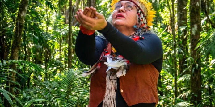 Museu Histórico da Cidade celebra saberes indígenas no Rio de Janeiro 
