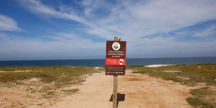 Restinga de Maricá: disputa pelo território opõe empresa e comunidades
